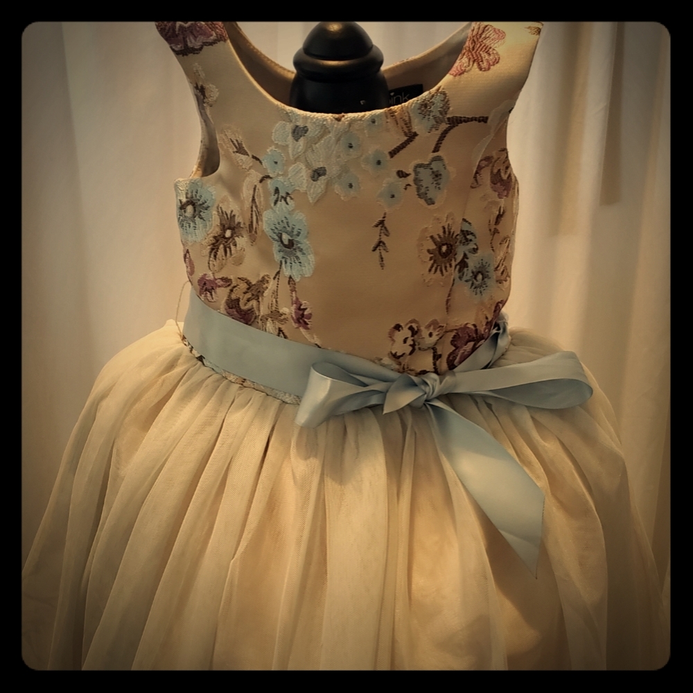 Pink and Violet Party Dress